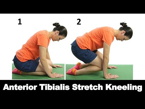Anterior Tibialis Stretch Kneeling - Ask Doctor Jo