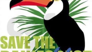 forest in reality By adriannna white, stephanie Bravo, and antonia guzman