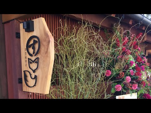 Ciudad de Toyooka Izushi-cho Inarizushi y antigua cafetería tradicional Sugagura Shoten