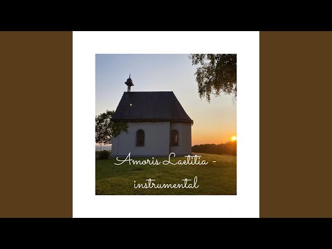 Amoris Laetitia - Carla Martinelli