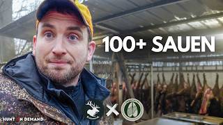 Unfassbare Drückjagd mit @Dreispross und @jagenNRW in Frankreich 🐗🐗🐗 Hunt on Demand Ausschnitt