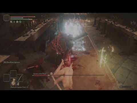 How to defeat Elemer of the Briar - Elden Ring