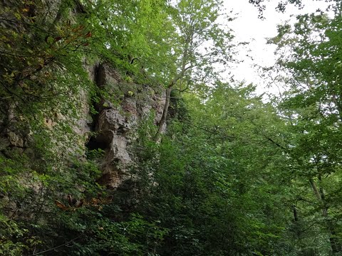 Wanderung im Saupark - Kleiner Deister
