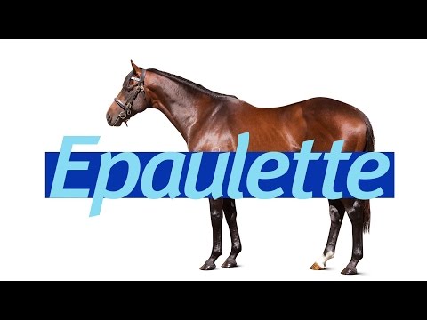 Epaulette's first European yearlings selling now