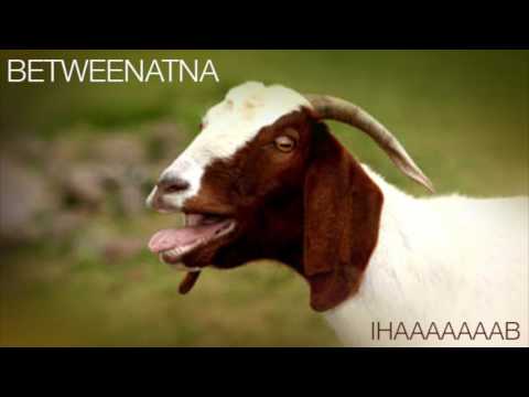 BETWEENATNA - IHAAAAAAB