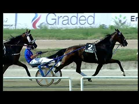 Napoli Trotto 05/09/2021 - 6ª corsa