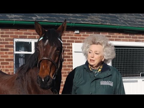Kirsten Rausing on Lanwades Stud