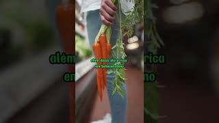 2 alimentos super poderosos no combate ao diabetes #shorts