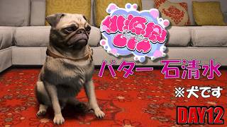 【桃源郷GTA S2】立派な警察犬になりました。 12日目【バター 石清水 / 帆立】JP/EN