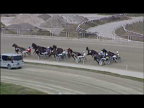 Napoli Trotto 12/02/2023 - 2ª corsa