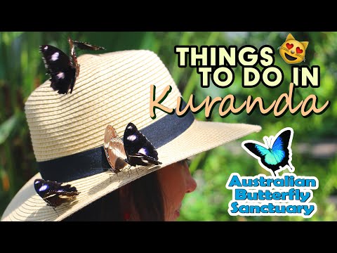 Australian Butterfly Sanctuary
