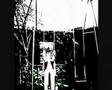 Lily - AaRON 