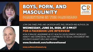 Download lagu Boys, Porn, and Masculinity with Jackson Katz & Gail Dines mp3
