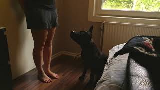 Kontaktutmaning dag 4