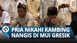 Pria yang Menikahi Kambing Nangis Minta Maaf di MUI Gresik, Mengaku Dimarahi Istrinya setelah Viral