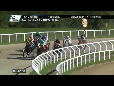 210226 c05 - RELIGERA - HIPODROMO LAS PIEDRAS