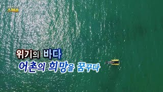 [연합뉴스TV] 위기의 바다, 어촌의 희망을 꿈꾸다