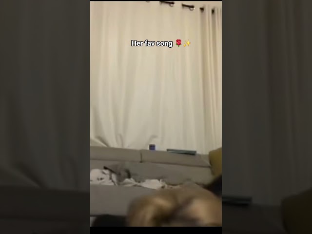 Vídeo relacionado con HWC Trading Sadie Sink Stranger Things Max Mayfield Los Regalos Imprimieron La Imagen Firmada Del Autógrafo Para Los Fans De La Demostración De Serie De Televisión - A4 Solo Impresión (ID-005223)
