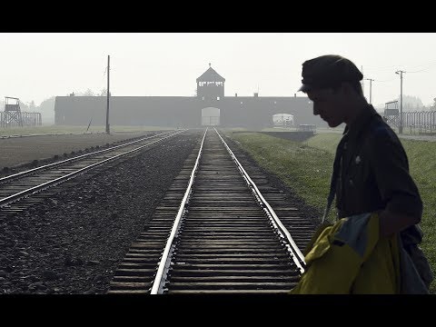 Why Did Hashem Allow the Holocaust?