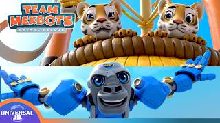 Sky of the Tiger & Other Adventures | TEAM MEKBOTS ANIMAL RESCUE