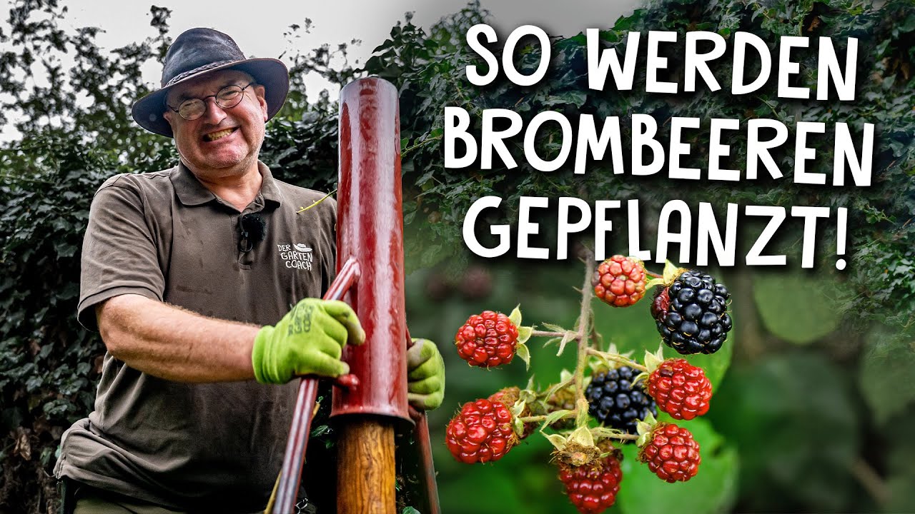 Obst anbauen Video 3