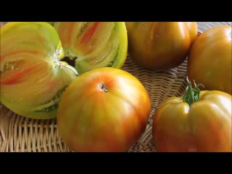 Everett's Rusty Oxheart