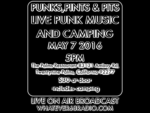 Punks.Pints & Pits  A day of music,fun & camping