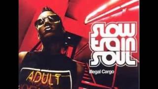 Slow Train Soul - Illegal Cargo Reprise