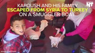 This Cat Is Helping His Family Cope With Life In A Refugee Camp
