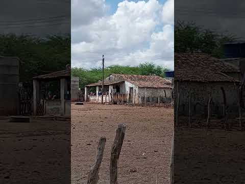 o terreiro da casa da fazenda Crateús Ceará