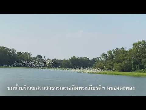 Nong Ta Phong