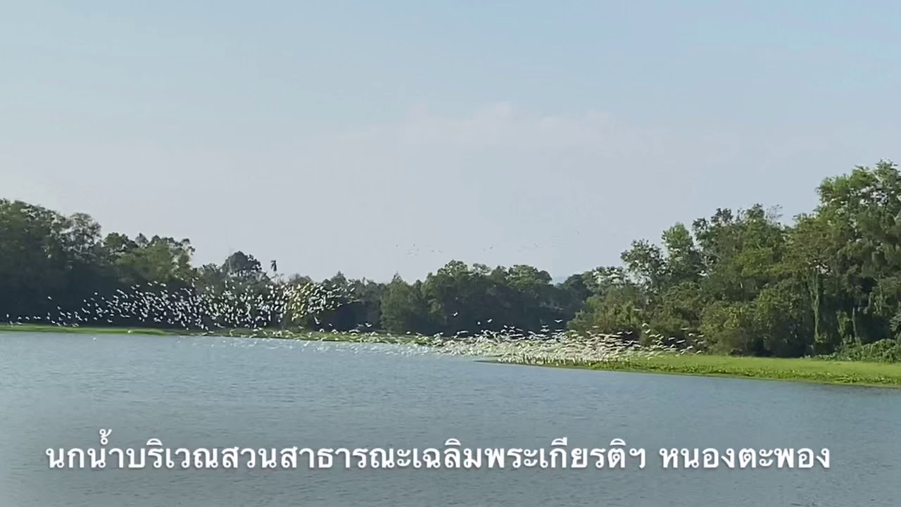 Nong Ta Phong