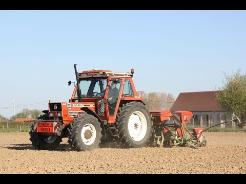 Landb. Morel - Wervik - Fiatagri 90-90 DT - Nodet