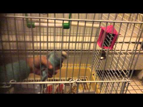 Cucu is not scared anymore