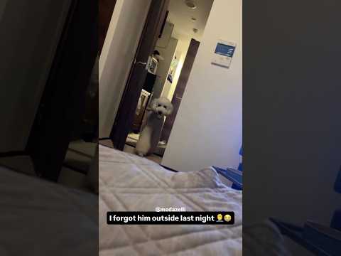 I Think He’s Mad At Me 🧐