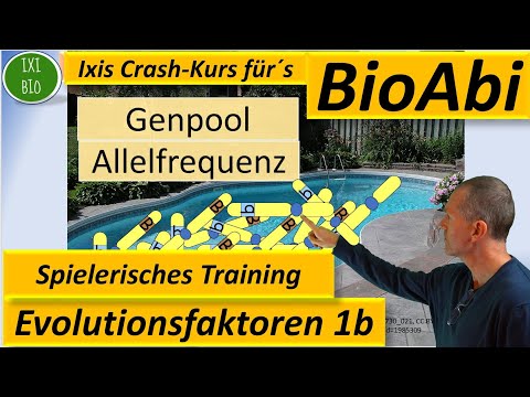 Evolution 2 Evolutionsfaktoren - Training Wortschatz Teil 2 spielerisches Anwenden (Keywords) BioAbi