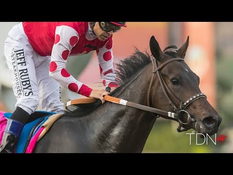 Midnight Bisou a Star Among Stars