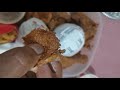 KFC - Bad customer n food services - Image 3