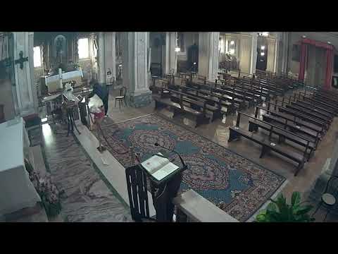 Ladro di elemosina ripreso in chiesa a Cogozzo, 12 ottobre 2021