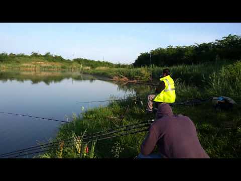 Piteasca, frumoasa balta