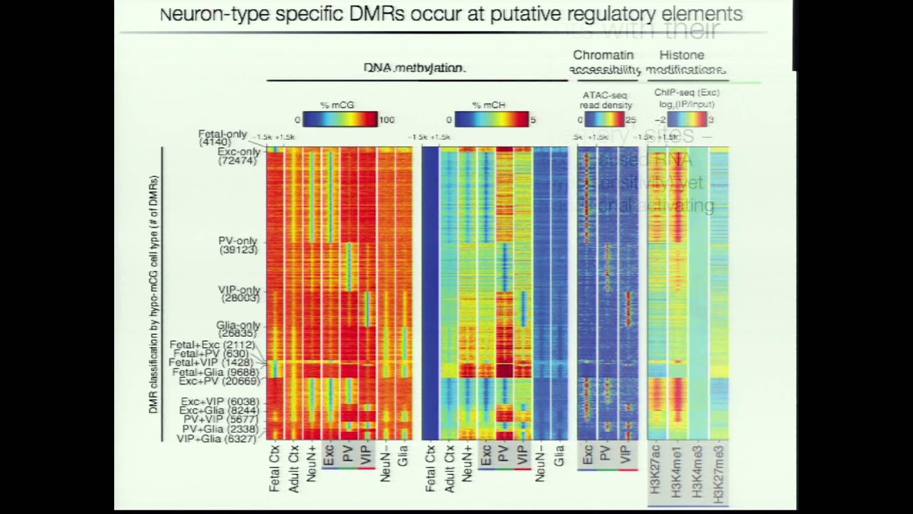 ENCODE PIs' Vision for Functional Genomics - Joseph Ecker