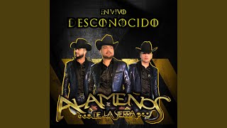 Tengo A Mi Lupe (En Vivo) Lyrics English Translation