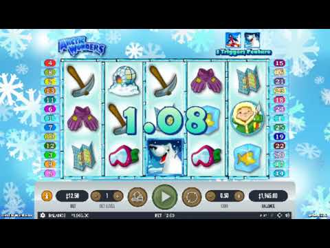 Arctic Wonders – Video Gameplay