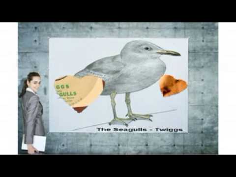 The Seagulls - Twiggs
