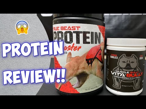 YouTube video about: Can dogs eat protein powder?
