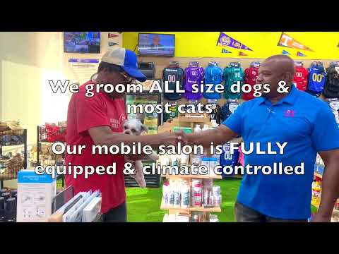 Dawg Team Apparel, USA video.