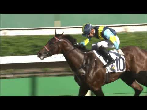 10/7/2022 (815) Jolly Ruler - L Hewitson