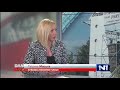 Tatjana Macura Za N1 SMS Ne Može Da Stane Iza 30 Tačaka Programa SZS Zbog Retrogradnih Politika