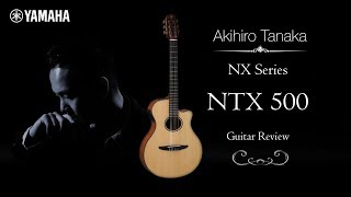 NTX500 (Brown Sunburst), зображення 1