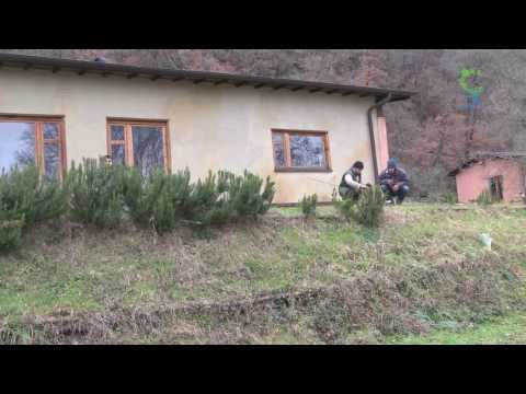 Il Centro Panta Rei - Io faccio così#21 -